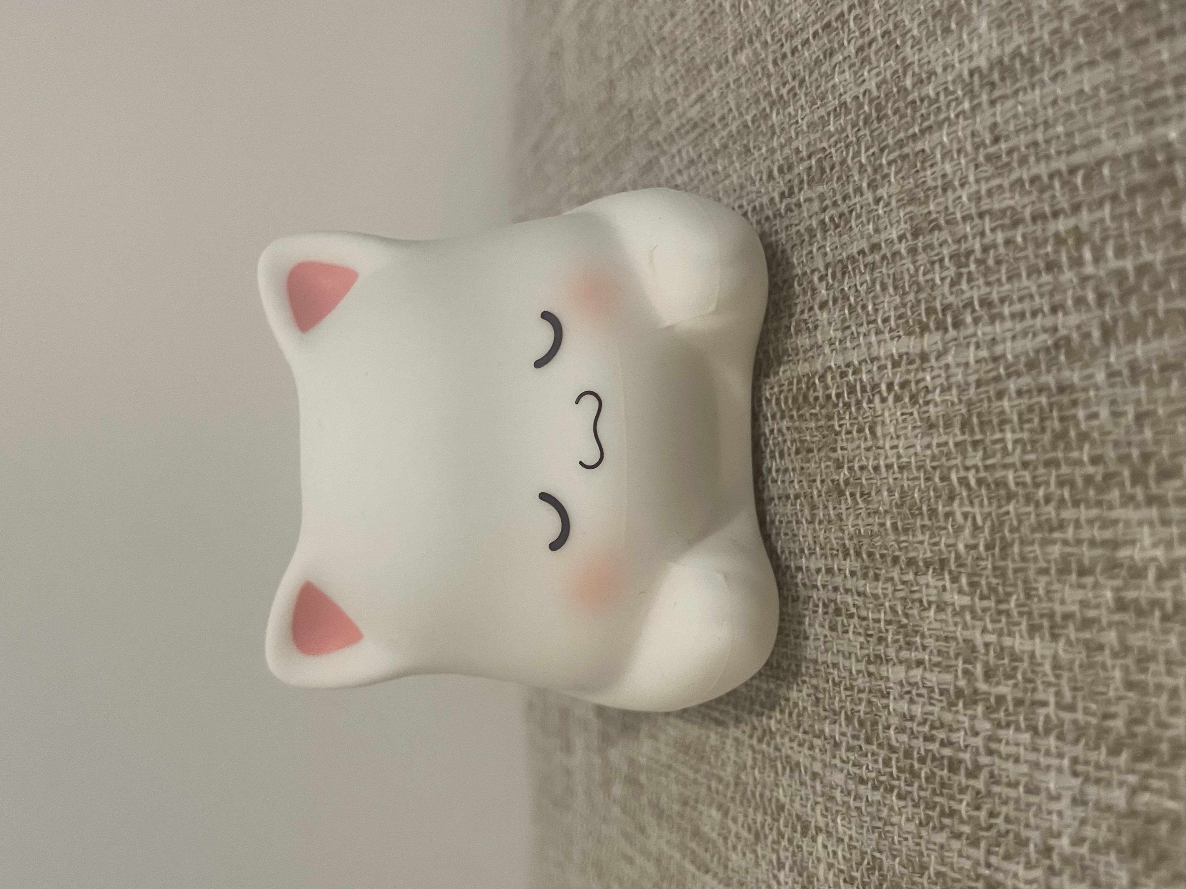 Front Facing Photo of Real Cat